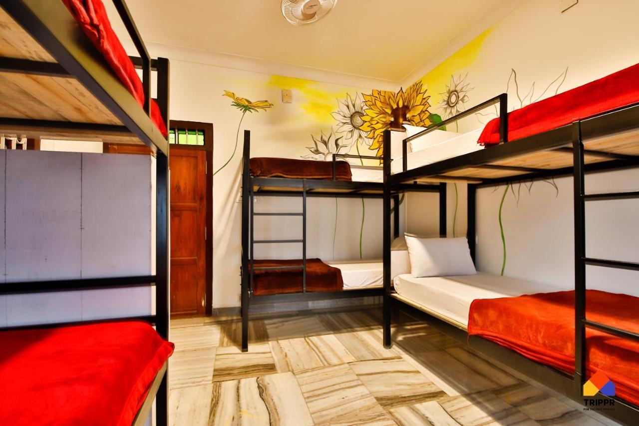 Trippr Alleppey - Backpacker Hostel Alappuzha Eksteriør bilde